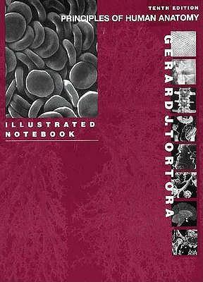 Principles of Human Anatomy: Illustrated Notebook