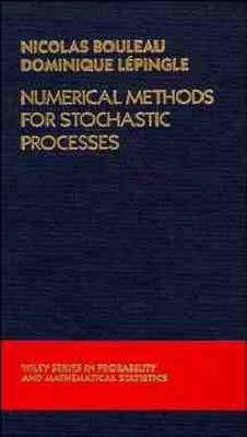 Numerical Methods for Stochastic Processes