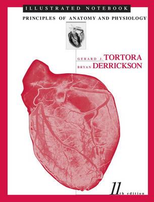 Principles of Anatomy and Physiology: Illustrated Notebook