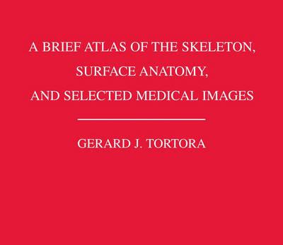 A Brief Atlas of the Skeleton, Surface Anatomy, and Selected Medical Images