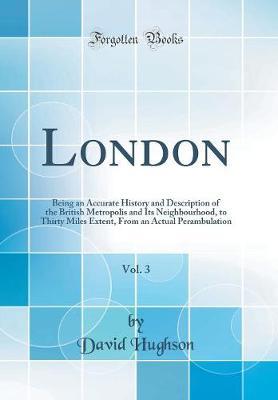 London, Vol. 3: Being an Accurate History and Description of the British Metropolis and Its Neighbourhood, to Thirty Miles Extent, from an Actual Perambulation (Classic Reprint)