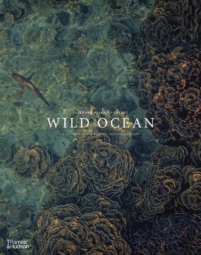Wild Ocean: A Journey to the Earth's Last Wild Coasts