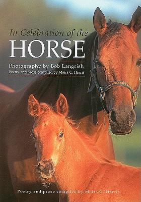 In Celebration of the Horse