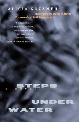 Steps Under Water: A Novel