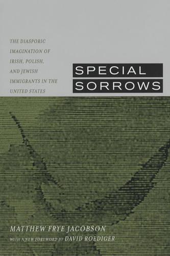 Special Sorrows: The Diasporic Imagination of Irish, Polish, and Jewish Immigrants in the United States