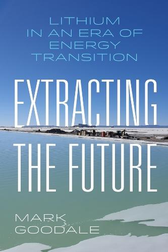 Extracting the Future: Lithium in an Era of Energy Transition