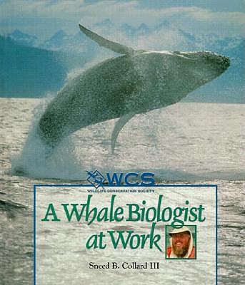 A Whale Biologist at Work