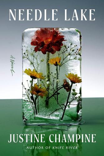 Needle Lake: A Novel