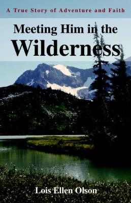 Meeting Him in the Wilderness: A True Story of Adventure and Faith