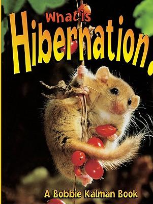 What Is Hibernation?