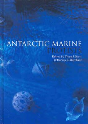 Antarctic Marine Protists