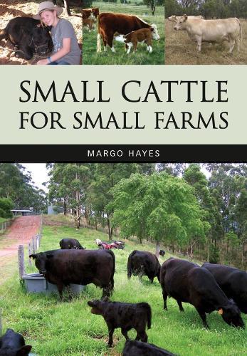 Small Cattle for Small Farms