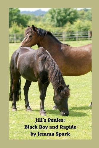 Jill's Ponies: Black Boy and Rapide