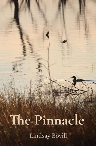The Pinnacle