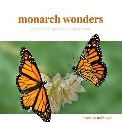 Monarch Wonders: Life Cycle Images for Reflection