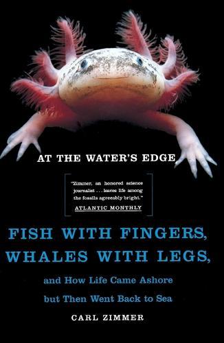 At the Water's Edge: Fish with Fingers, Whales with Legs...