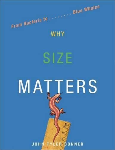 Why Size Matters: From Bacteria to Blue Whales