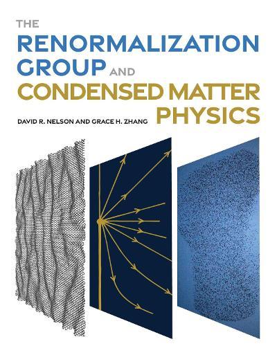 The Renormalization Group and Condensed Matter Physics