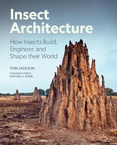Insect Architecture: How Insects Build, Engineer, and Shape Their World