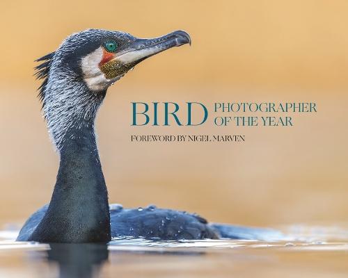 Bird Photographer of the Year: Collection 10