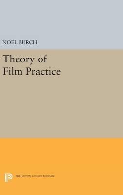 Theory of Film Practice