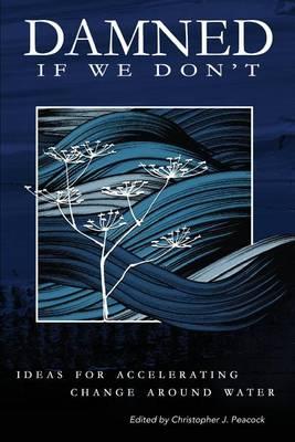 Damned if We Don't!: Ideas for accelerating change around water