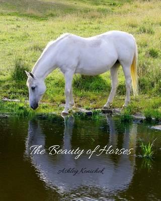 The Beauty of Horses