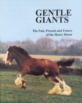 Gentle Giants: Past, Present and Future of the Heavy Horse