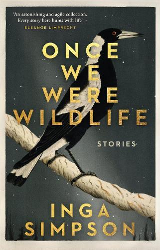 Once We Were Wildlife: Stories