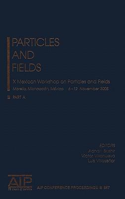 Particles and Fields: 10th Mexican Workshop on Particles and Fields