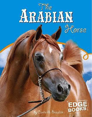 The Arabian Horse