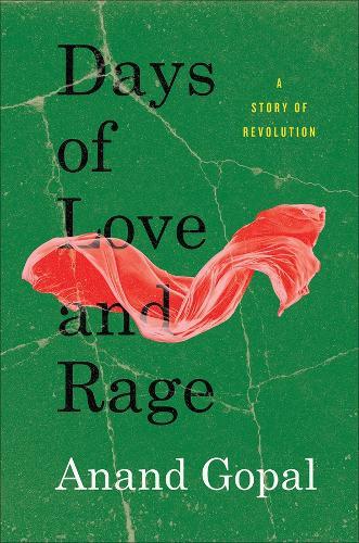 Days of Love and Rage: A Story of Revolution