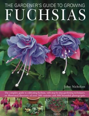Gardener's Guide to Growing Fuchsias