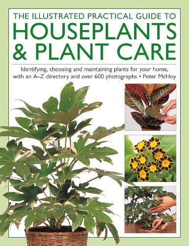 The Illustrated Practical Guide to Houseplants & Plant Care: Identifying, choosing and maintaining plants for your home, with an A–Z directory and over 600 photographs