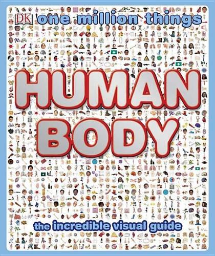 Human Body