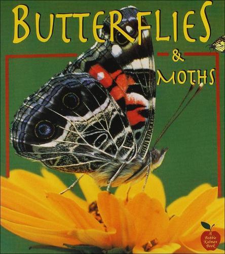 Butterflies and Moths