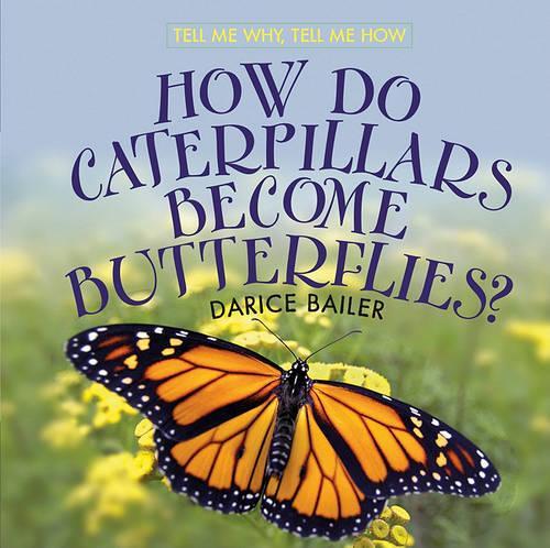 How Do Caterpillars Become Butterflies?