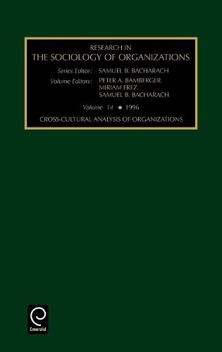 Cross-cultural Analysis of Organizations