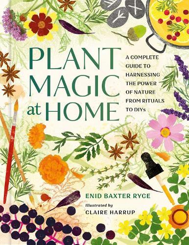 Plant Magic at Home: A Complete Guide to Harnessing the Power of Nature from Rituals to DIYs