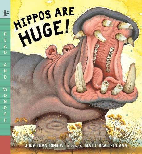 Hippos Are Huge!: Read and Wonder