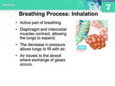 Emtb Enhanced Powerpoint Presentations CD ROM, Ninth Edition