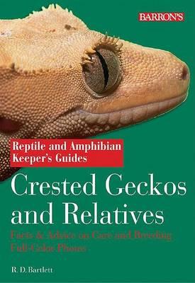 Crested Geckos and Relatives