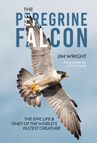 The Peregrine Falcon: The Epic Life and Times of the World’s Fastest Creature