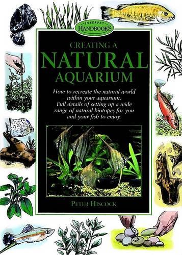 Creating a Natural Aquarium
