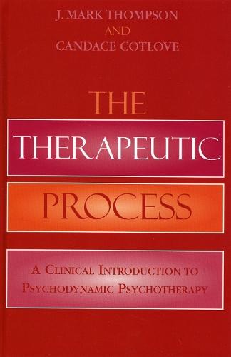 The Therapeutic Process: A Clinical Introduction to Psychodynamic Psychotherapy