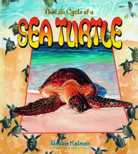 The Life Cycle of a Sea Turtle