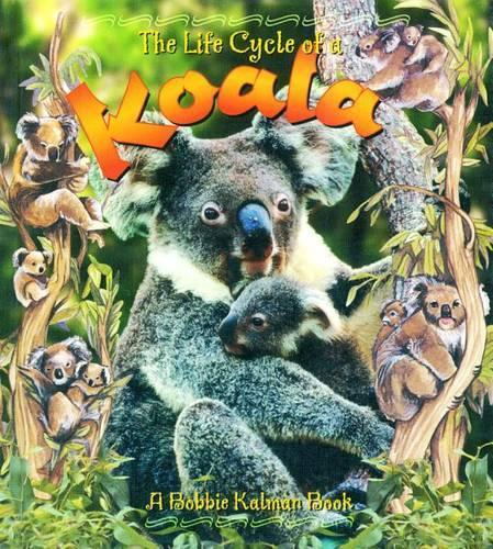 The Life Cycle of a Koala