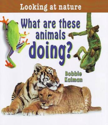 What Are These Animals Doing?