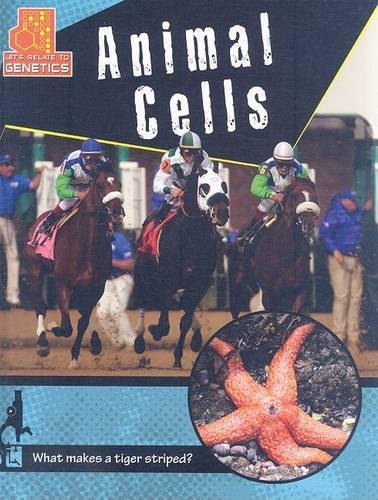 Animal Cells
