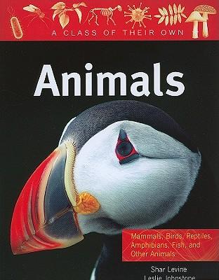 Animals